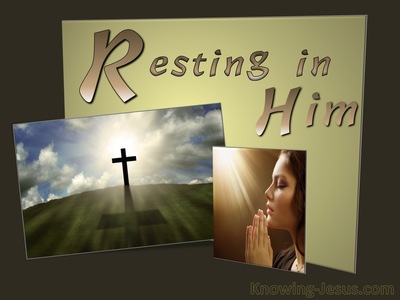 Resting In Him (devotional)01-10  (brown)